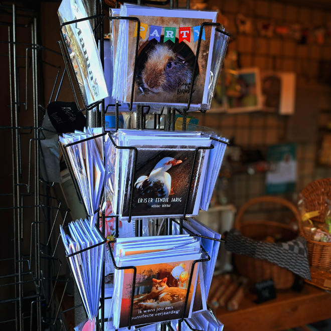 Winkel