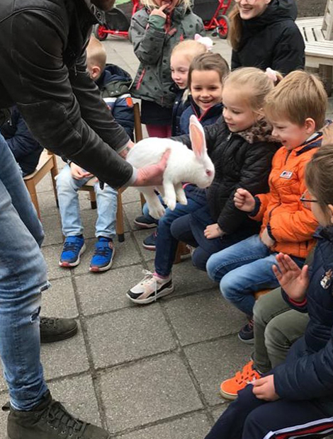 Dieren op bezoek
