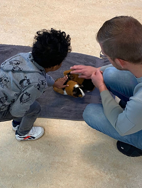 Dieren op bezoek