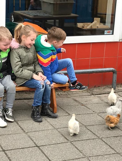 Dieren op bezoek