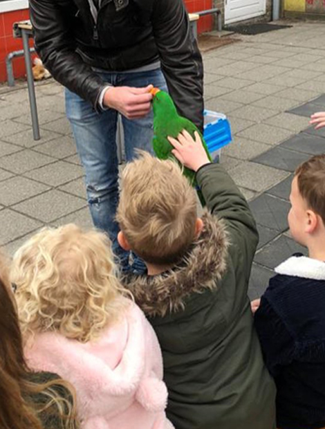 Dieren op bezoek