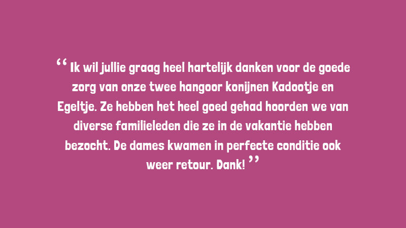 Logeeropvang review 1