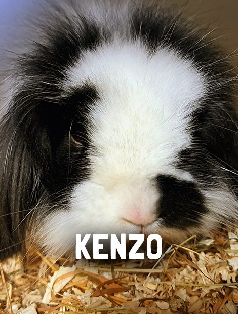 Kenzo
