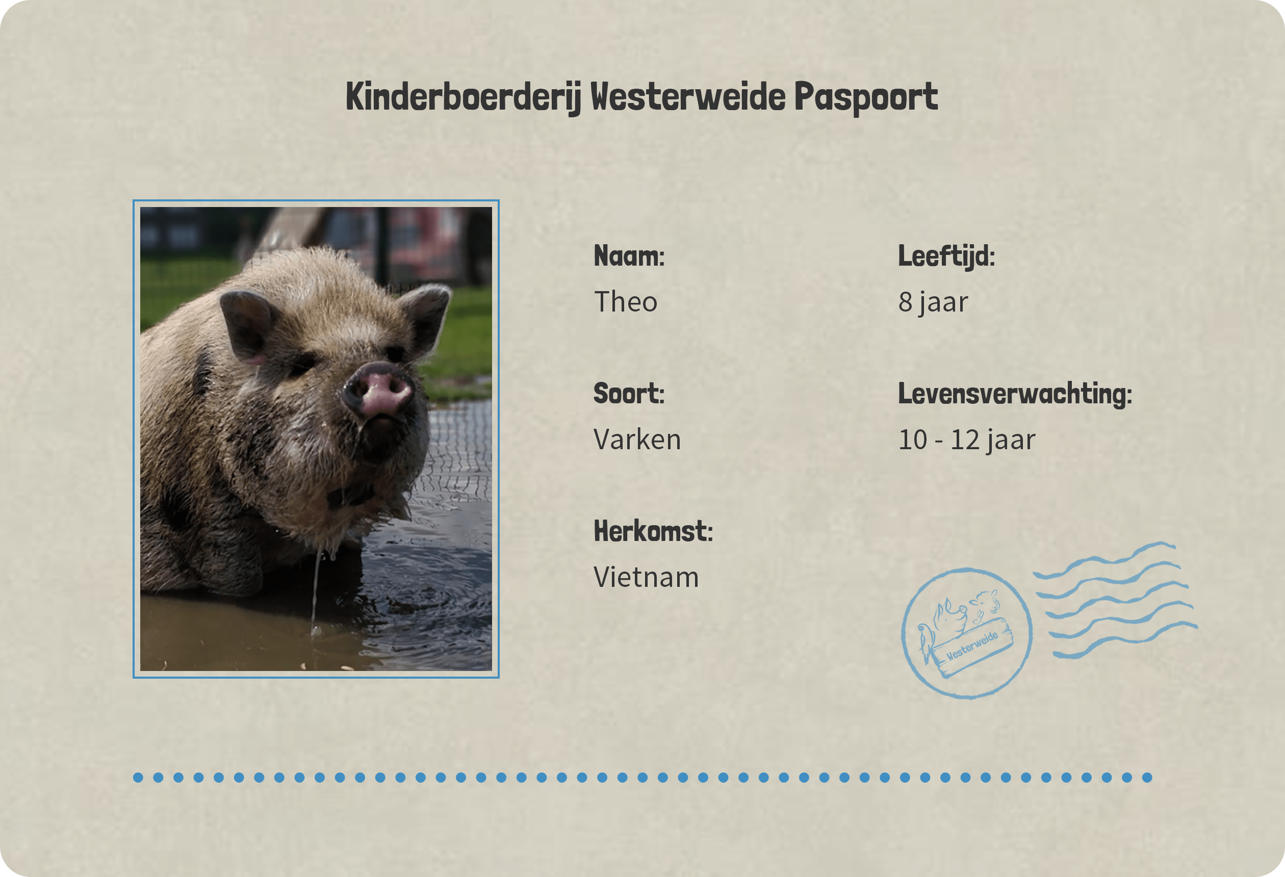 Paspoort Theo