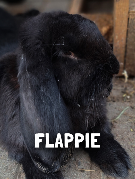 Flappie