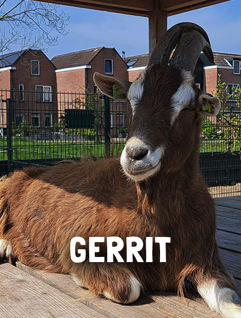 Gerrit