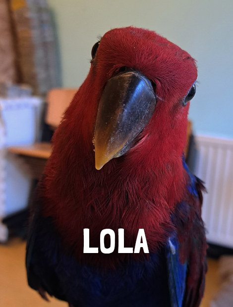 Lola