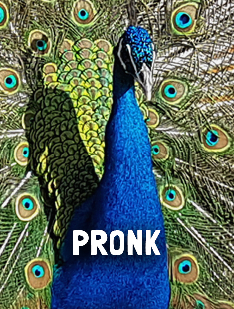 Pronk